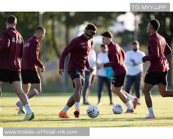 阿劳足球的崛起与挑战探索瑞士足球的未来发展之路